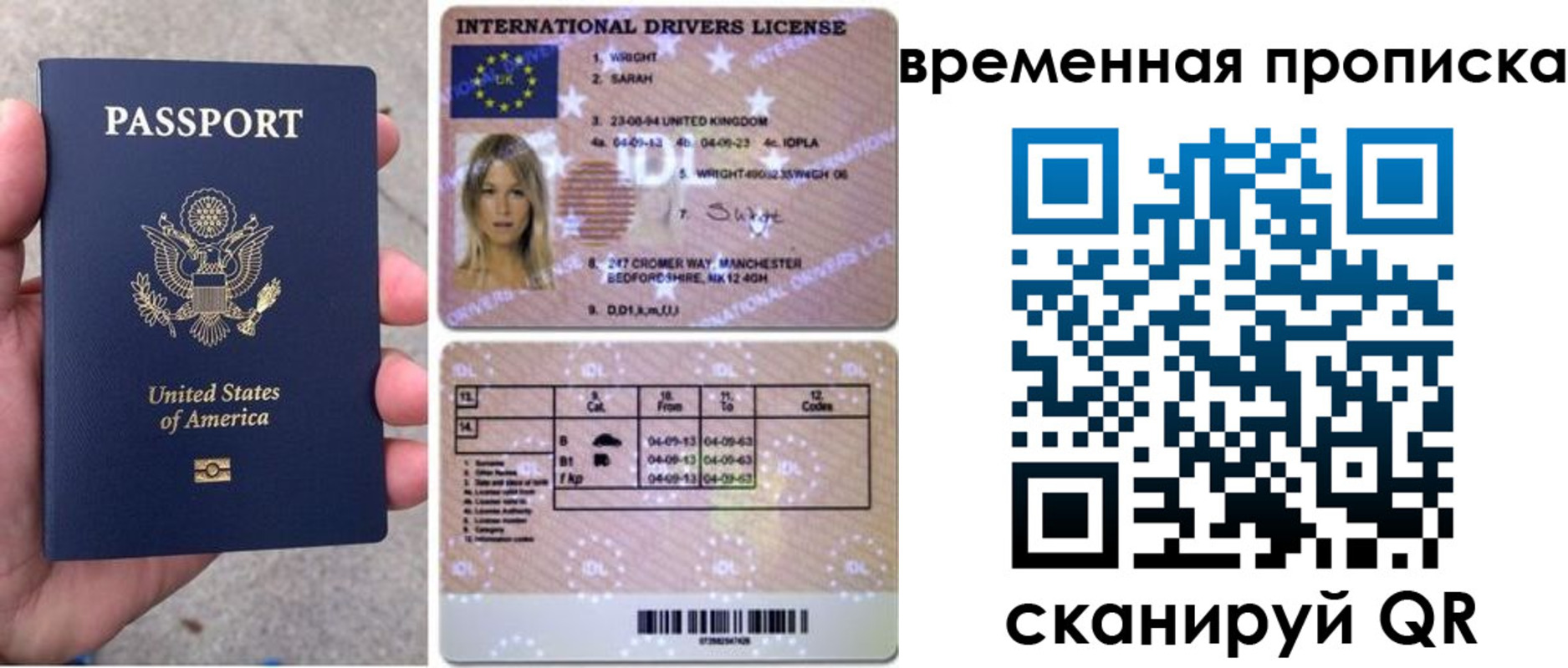 прописка поиск в Светлогорске